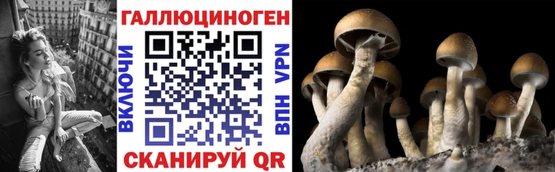 Галлюциногенные грибы прущие грибы Сосенский